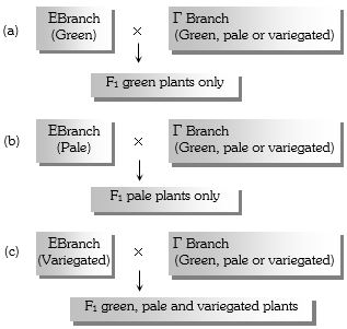 Solution diagram