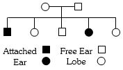 Question diagram