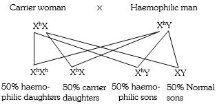 Solution diagram