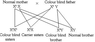 Solution diagram