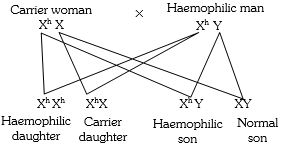 Solution diagram