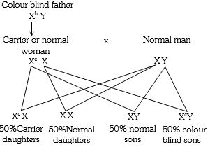 Solution diagram