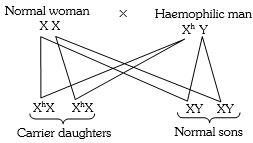 Solution diagram