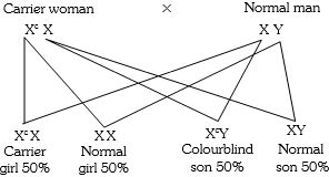 Solution diagram