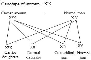 Solution diagram