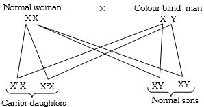 Solution diagram