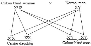 Solution diagram