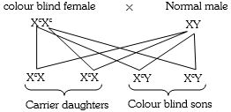 Solution diagram