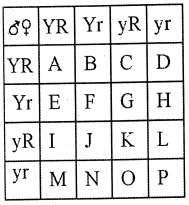Question diagram