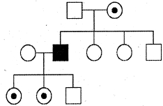Question diagram