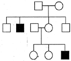 Question diagram