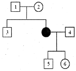 Question diagram