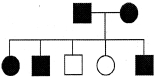 Question diagram