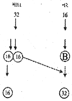 Question diagram