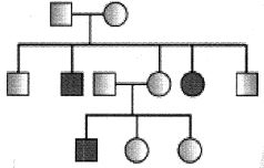 Question diagram
