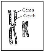 Question diagram