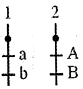 Option A