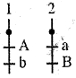 Option C