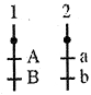 Option D