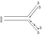 Option D