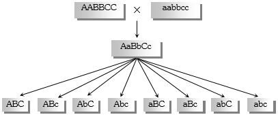 Solution diagram