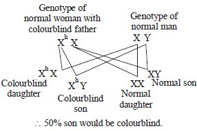 Solution diagram