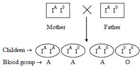 Solution diagram