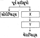 Question diagram