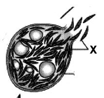 Question diagram