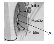Question diagram
