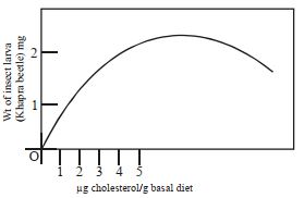 Question diagram