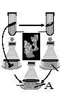 Question diagram