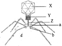 Question diagram