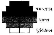 Question diagram
