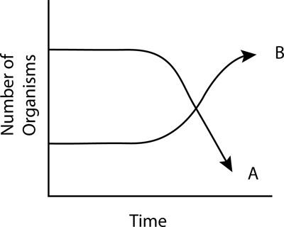 Question diagram