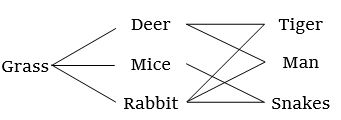 Question diagram