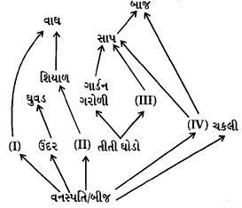 Question diagram