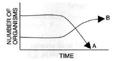 Question diagram