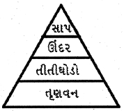 Question diagram