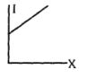 Option B