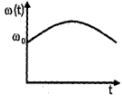 Option C