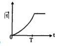 Option C