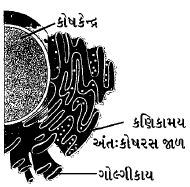 Question diagram