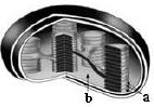 Question diagram