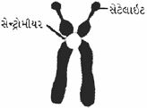 Question diagram