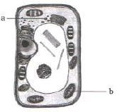 Question diagram