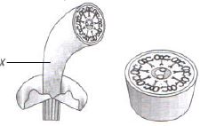Question diagram