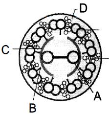 Question diagram