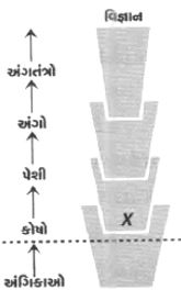 Question diagram