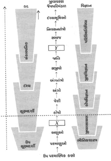 Question diagram